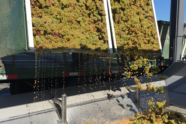 Enhancing Supply Chain Resilience & Risk Prevention