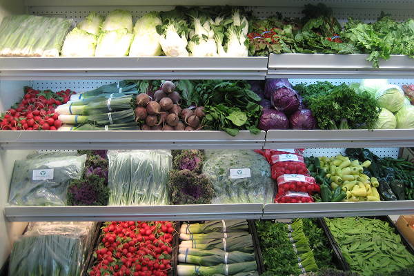 Expert Guidance on Regulatory Requirements & Certification Readiness