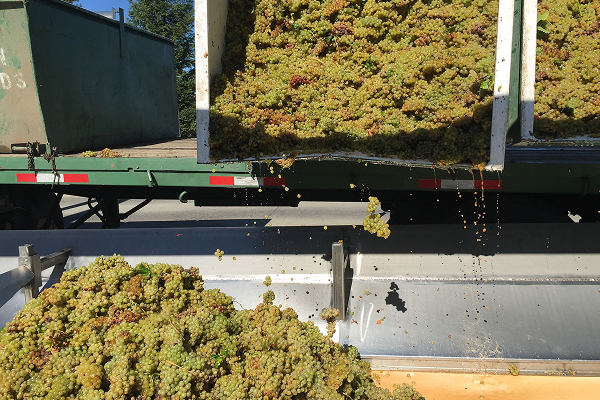 Answers to Your Questions