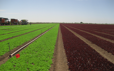 Deep Industry Expertise & Professional Excellence